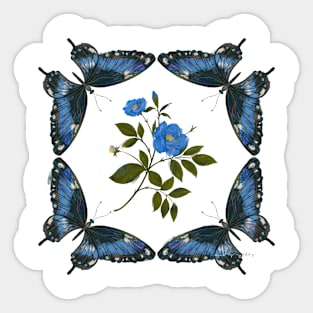 Butterflies Sticker